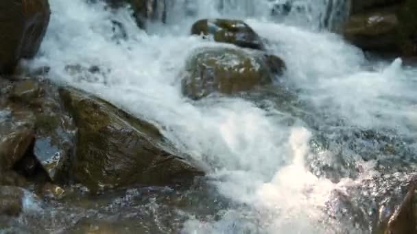 Primo Piano Piccolo Ruscello Montagna Con Acqua Limpida Blu Che — Video Stock