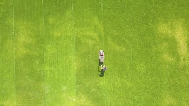 Vista Aérea Pequena Figura Trabalhador Cortando Grama Verde Com Mashine — Vídeo de Stock