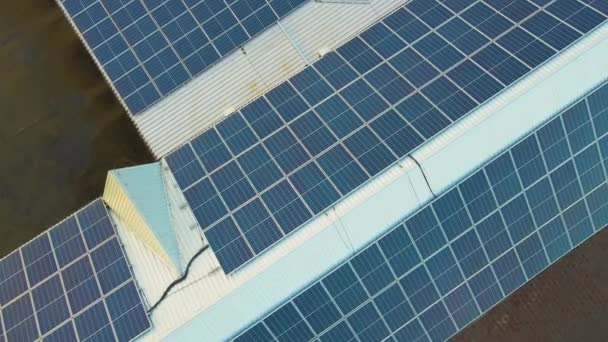 青い太陽光発電パネルは きれいな生態系の電気を生成するための建物の屋根に取り付けられました 再生可能エネルギーの概念の生産 — ストック動画
