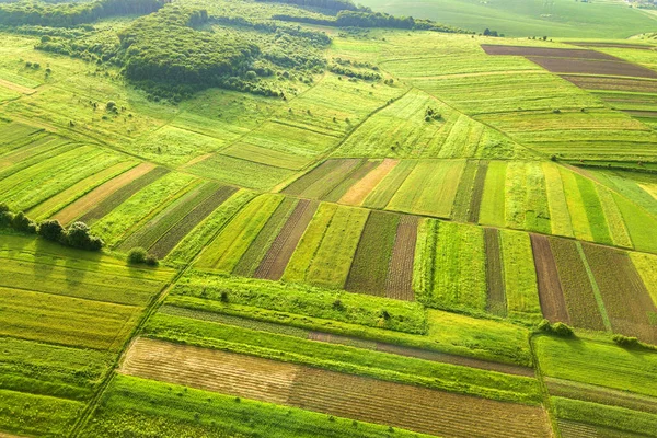 Aerial View Green Agricultural Fields Spring Fresh Vegetation Seeding Season — Stock Photo, Image