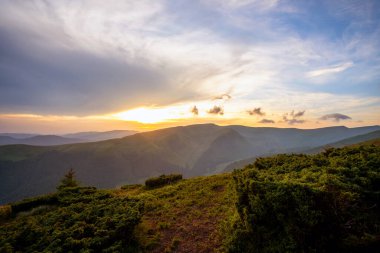 Yaz akşamı dağ manzarası çimenli tepeler ve renkli günbatımında uzak tepeler.