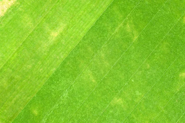 Vista Aérea Cerca Superficie Hierba Verde Recién Cortada Estadio Fútbol —  Fotos de Stock