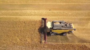 Buğday tarlasını hasat eden hasatçının hava görüntüsü. İHA görünümünden tarım.