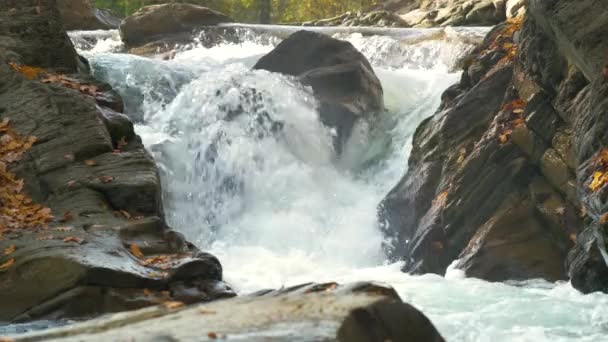 Een Kleine Bergstroom Met Snel Bewegend Helder Water Tussen Rotsachtige — Stockvideo