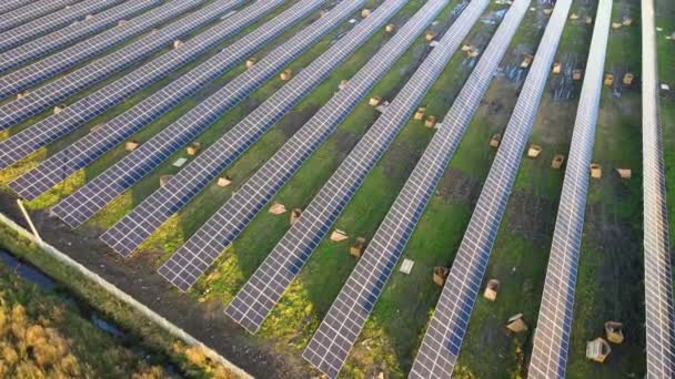 Luftaufnahme Eines Bau Befindlichen Solarkraftwerks Auf Der Grünen Wiese Montage — Stockvideo