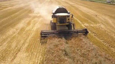 Buğday tarlasını hasat eden hasatçının hava görüntüsü. İHA görünümünden tarım.
