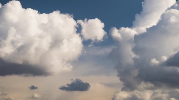 Zeitraffer Aufnahmen Von Sich Schnell Bildenden Weißen Geschwollenen Wolken Blauen — Stockvideo