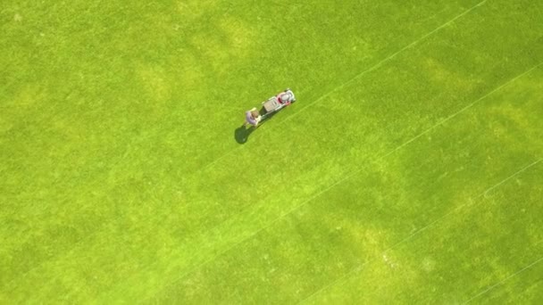 Aerial View Small Figure Man Worker Trimming Green Grass Mowing — Stock Video