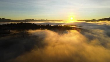 Karanlık, kasvetli çam ağaçlarının tepesinden, ladin sisli ormanında, sonbahar dağlarında, parlak gündoğumu ışınlarıyla parlayan.
