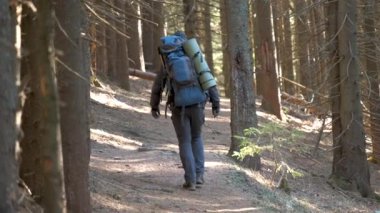 Sırtında sırt çantasıyla karanlık sonbahar ormanlarında yürüyüş yapan bir yürüyüşçü..