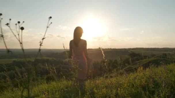 ピンクのドレスの若い女性が外で夕日の景色を楽しむ緑の夏のフィールドを歩く — ストック動画