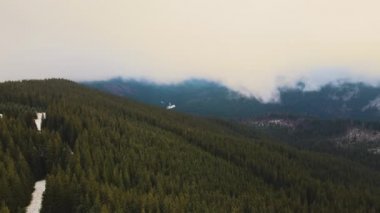 Karanlık dağ tepelerinin karamsar bulutlu bir günde yeşil çam ormanlarıyla kaplı görüntüsü..