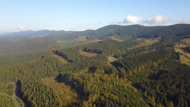 Widok Lotu Ptaka Lasy Górskie Gołymi Obszarami Wycinania Drzew — Wideo stockowe