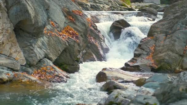 Een Kleine Bergstroom Met Snel Bewegend Helder Water Tussen Rotsachtige — Stockvideo