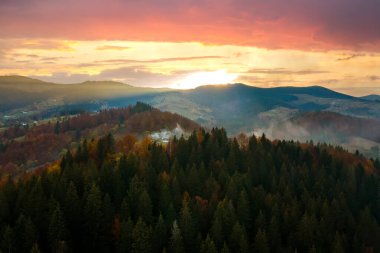 Sonbaharda yoğun sarı orman ve yeşil ladin ağaçlarıyla kaplı yüksek dağ tepelerinin havadan görünüşü.