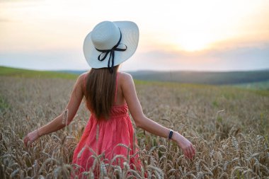 Kırmızı yaz elbisesi ve hasır şapkasıyla genç güzel bir kadın olgun altın buğdayla sarı tarlada yürüyor sıcak akşamın tadını çıkarıyor..