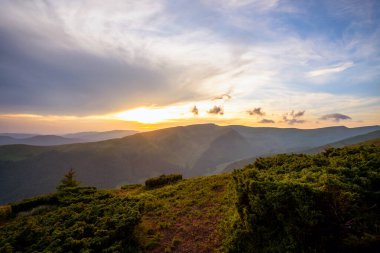 Yaz akşamı dağ manzarası çimenli tepeler ve renkli günbatımında uzak tepeler.