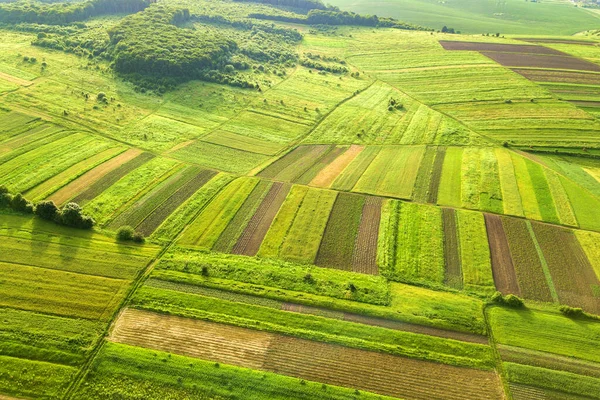 Vue Aérienne Des Champs Agricoles Verts Printemps Avec Végétation Fraîche — Photo