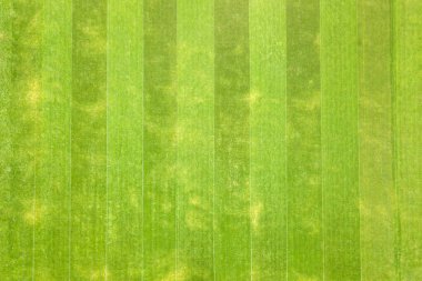 Yaz mevsiminde futbol stadyumunun yeşil, taze kesilmiş çimlerinin hava manzarasını kapatın..