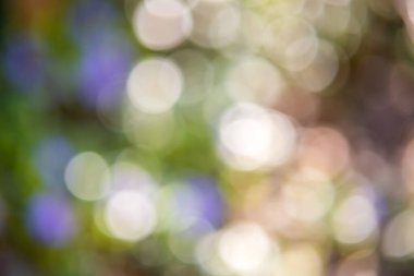 Odaklanamayan bulanık ışık çemberleriyle soyut pastel yeşil bokeh.