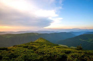Yaz akşamı dağ manzarası çimenli tepeler ve renkli günbatımında uzak tepeler.