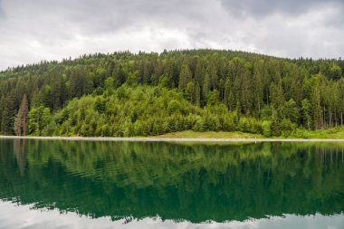 İnanılmaz manzarası olan büyük bir göl ve ormandaki yeşil ağaçlar. Yazın veya ilkbaharda temiz hava kavramı. 