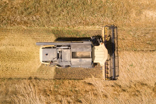 Aerial View Combine Harvester Harvesting Large Ripe Wheat Field Agriculture — Stock Photo, Image