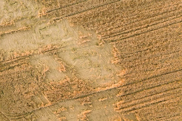 Luftaufnahme Eines Zur Ernte Bereitstehenden Reifen Farmfeldes Mit Umgestürzten Von — Stockfoto