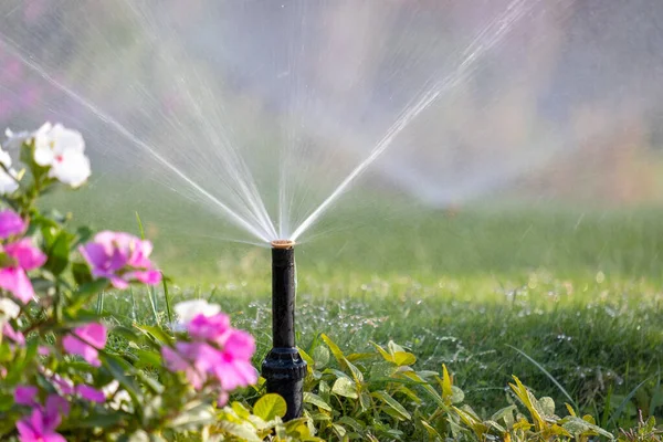 Spruzzatore Plastica Irrigazione Aiuola Sul Prato Erba Con Acqua Nel — Foto Stock