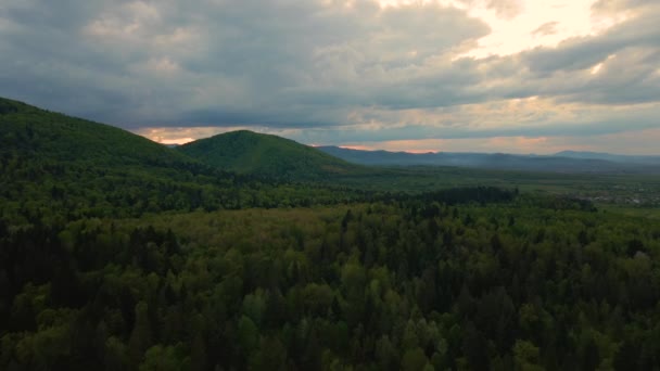 Luchtfoto Van Donkere Berghellingen Bedekt Met Groene Gemengde Dennen Weelderige — Stockvideo