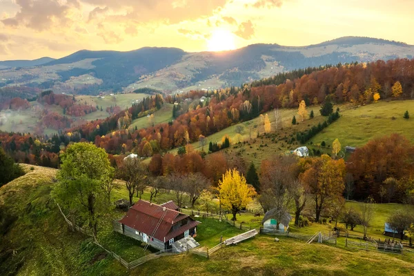 Vista Aérea Pequeñas Casas Pastores Amplio Prado Entre Bosque Otoño —  Fotos de Stock