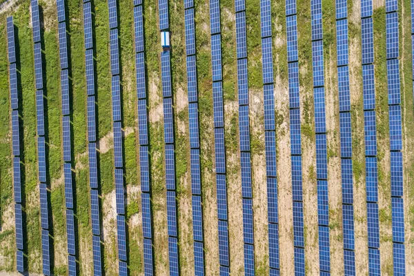 緑のフィールド上の太陽光発電所の空中ビュー きれいな生態エネルギーを生産するためのパネルを持つ電気農場 — ストック写真