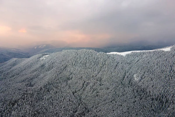 Luftaufnahme Der Winterlandschaft Mit Berghügeln Mit Immergrünem Kiefernwald Nach Heftigen — Stockfoto