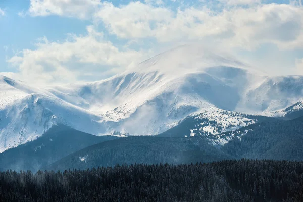 Χειμερινό Τοπίο Ψηλούς Λόφους Βουνών Καλυμμένους Αειθαλές Πευκοδάσος Μετά Από — Φωτογραφία Αρχείου