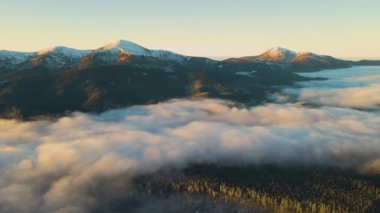 Sonbaharda Karpatlar 'ın dağlık tepelerindeki canlı gündoğumunun havadan görünüşü ebediyen yeşil ladin ormanlarıyla kaplıydı..