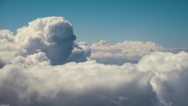 Vista Aérea Janela Avião Nuvens Inchadas Brancas Dia Ensolarado Brilhante — Vídeo de Stock