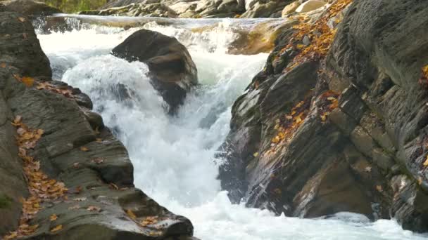 Ein Kleiner Gebirgsbach Mit Sich Schnell Bewegendem Klarem Wasser Zwischen — Stockvideo