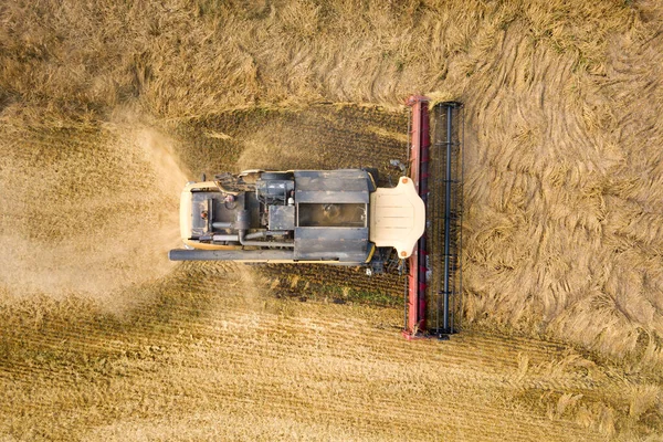 Повітряний Вид Комбайн Збирає Велике Стигле Пшеничне Поле Сільське Господарство — стокове фото