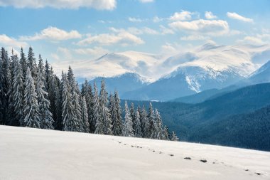 Soğuk kış günlerinde yoğun kar yağışı sonrası yüksek dağlık tepelerle kaplanmış kış manzarası..
