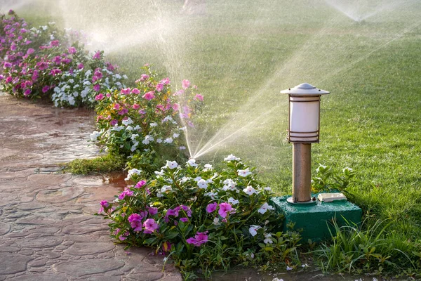 Kunststoff Beregnungsanlage Beet Auf Rasen Mit Wasser Sommergarten Bewässerung Der — Stockfoto