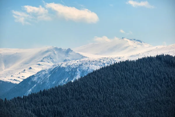 Winterlandschap Met Hoge Bergheuvels Bedekt Met Groenblijvende Dennenbossen Zware Sneeuwval — Stockfoto