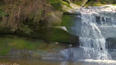 Sonbaharda kayalık kayalar arasında hızla akan temiz suyu olan küçük bir dağ deresi..