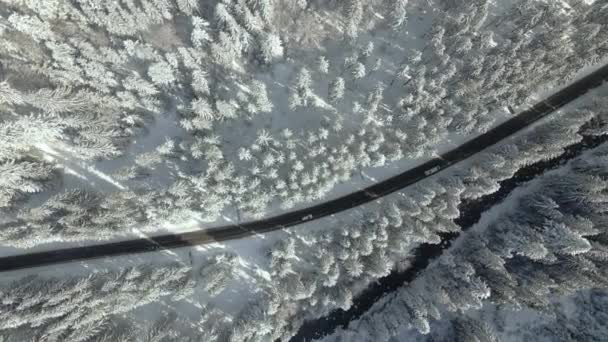 Luchtfoto Van Het Winterlandschap Met Besneeuwde Bergheuvels Kronkelende Bosweg Ochtend — Stockvideo