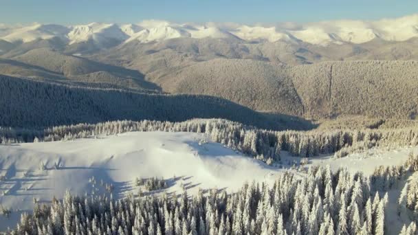 Letecká Zimní Krajina Malými Venkovskými Domy Mezi Zasněženými Lesy Chladných — Stock video
