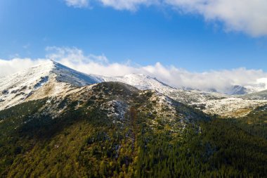 Yeşil ladin ormanları ve yüksek karlı tepelerle kaplı görkemli dağların havadan görünüşü.