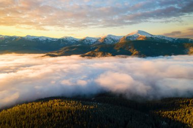 Sonbaharda Karpatlar 'ın dağlık tepelerindeki canlı gündoğumunun havadan görünüşü ebediyen yeşil ladin ormanlarıyla kaplıydı..