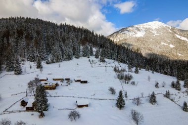Soğuk dağlarda karla kaplı ormanlar arasında küçük kır evleri olan hava manzarası.