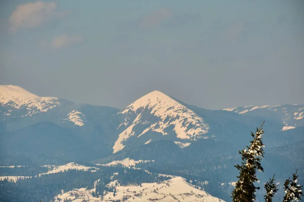 Winterlandschaft Mit Hohen Mit Immergrünem Kiefernwald Bedeckten Hügeln Nach Starkem — Stockfoto