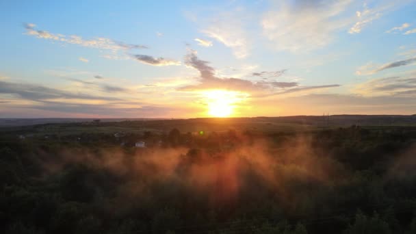 Veduta Aerea Del Paesaggio Del Campo Agricolo Coltivato Giallo Con — Video Stock