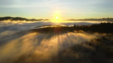 Karanlık, kasvetli çam ağaçlarının tepesinden, ladin sisli ormanında, sonbahar dağlarında, parlak gündoğumu ışınlarıyla parlayan.